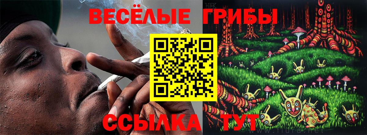 Псилоцибиновые грибы прущие грибы Михайловск