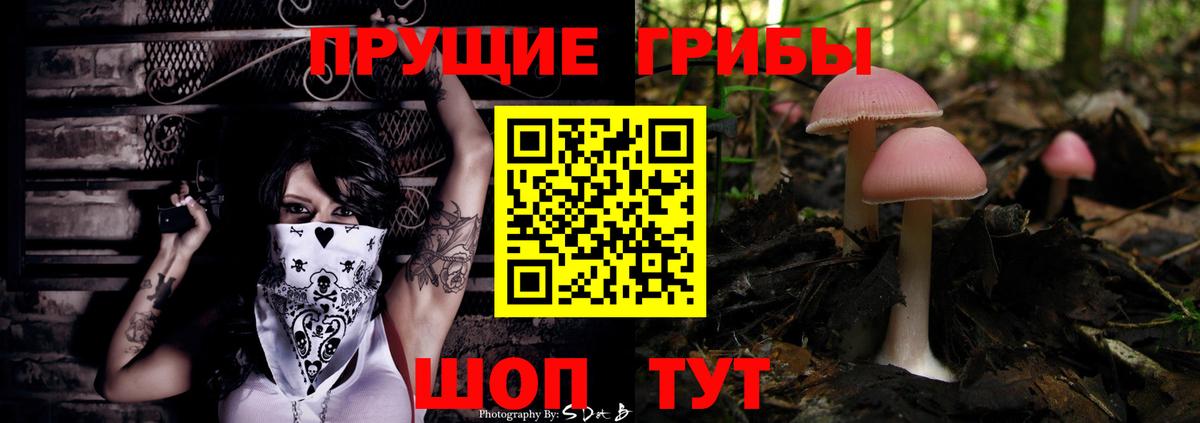 Псилоцибиновые грибы ЛСД  Вход с VPN  даркнет сайт  Михайловск 